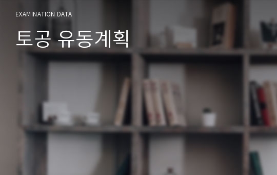 토공 유동계획