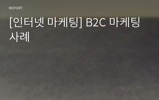 [인터넷 마케팅] B2C 마케팅 사례