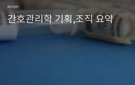 간호관리학 기획,조직 요약