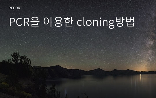 PCR을 이용한 cloning방법