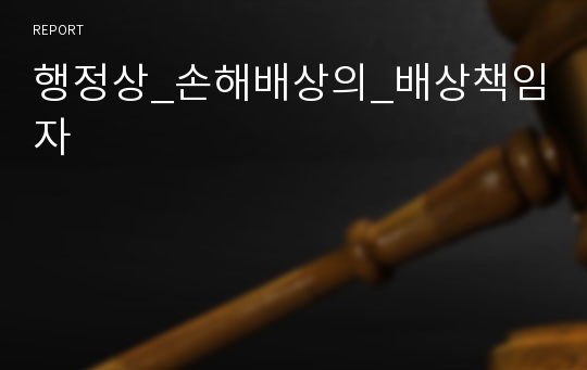 행정상_손해배상의_배상책임자