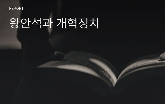 왕안석과 개혁정치