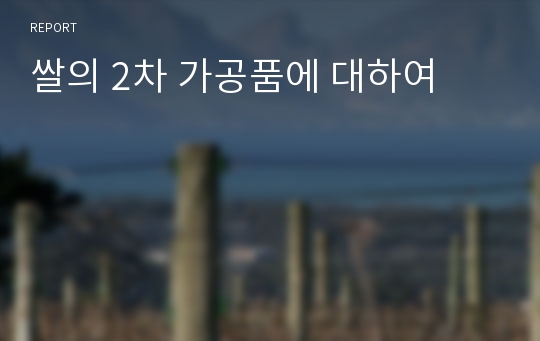 쌀의 2차 가공품에 대하여