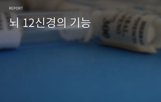 뇌 12신경의 기능