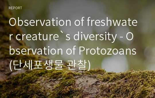 Observation of freshwater creature`s diversity - Observation of Protozoans(단세포생물 관찰)