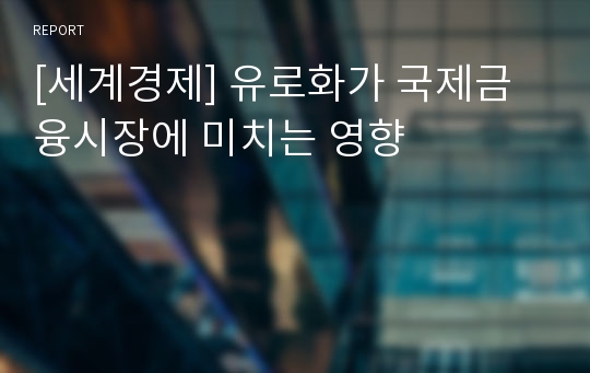 [세계경제] 유로화가 국제금융시장에 미치는 영향