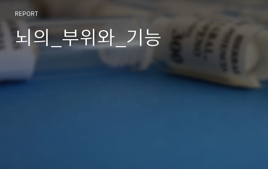 뇌의_부위와_기능