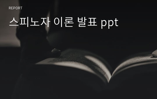 스피노자 이론 발표 ppt