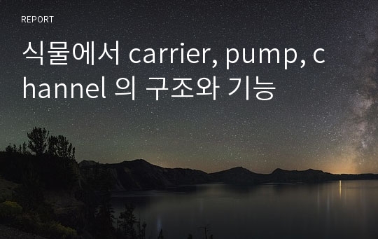 식물에서 carrier, pump, channel 의 구조와 기능