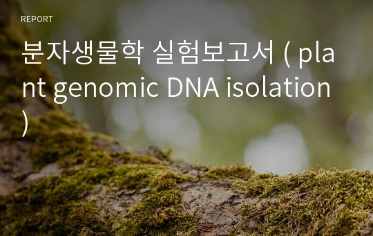 분자생물학 실험보고서 ( plant genomic DNA isolation)