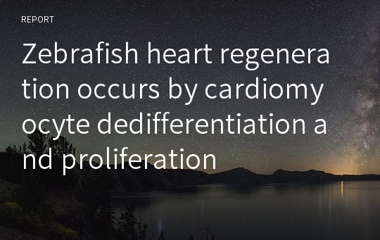 Zebrafish heart regeneration occurs by cardiomyocyte dedifferentiation and proliferation