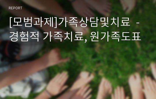 [모범과제]가족상담및치료  - 경험적 가족치료, 원가족도표