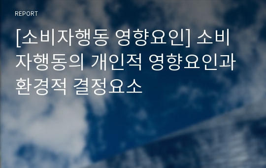 [소비자행동 영향요인] 소비자행동의 개인적 영향요인과 환경적 결정요소