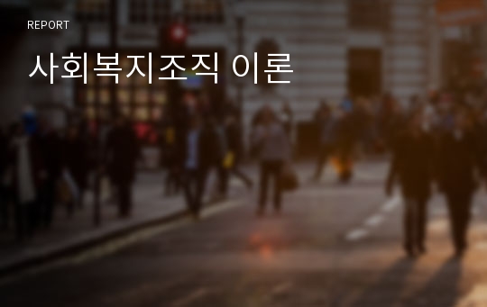 사회복지조직 이론