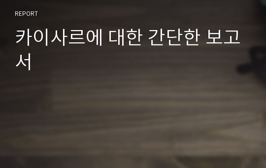 카이사르에 대한 간단한 보고서