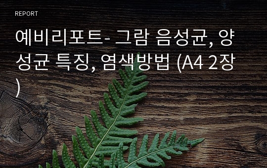 예비리포트- 그람 음성균, 양성균 특징, 염색방법 (A4 2장)