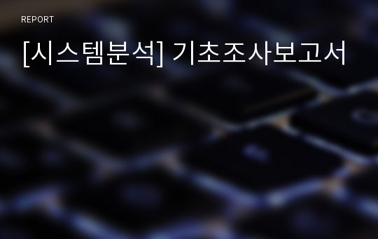 [시스템분석] 기초조사보고서