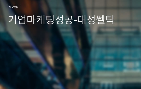 기업마케팅성공-대성쎌틱