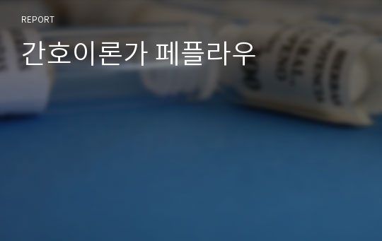 간호이론가 페플라우