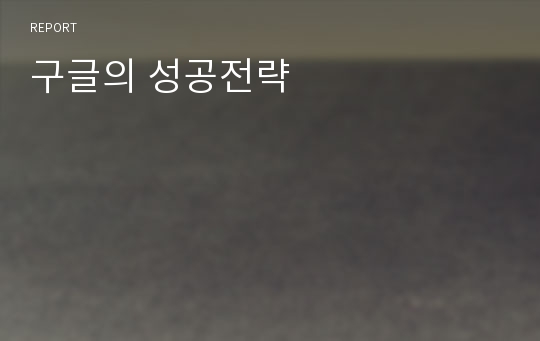 구글의 성공전략