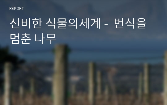 신비한 식물의세계 -  번식을 멈춘 나무