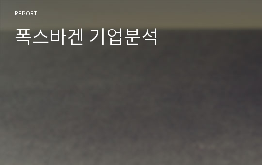 폭스바겐 기업분석