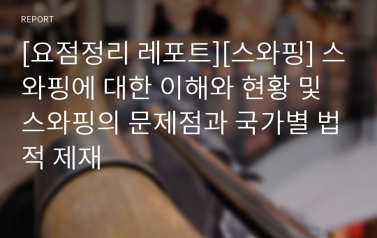 [요점정리 레포트][스와핑] 스와핑에 대한 이해와 현황 및 스와핑의 문제점과 국가별 법적 제재