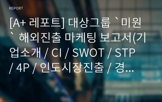 [A+ 레포트] 대상그룹 `미원` 해외진출 마케팅 보고서(기업소개 / CI / SWOT / STP / 4P / 인도시장진출 / 경쟁사 등)