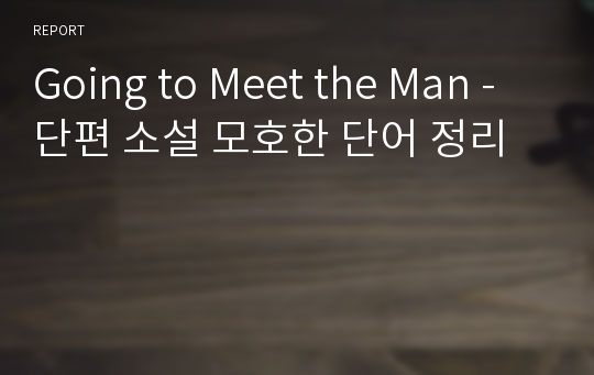 Going to Meet the Man - 단편 소설 모호한 단어 정리