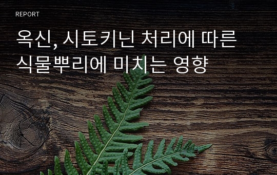 옥신, 시토키닌 처리에 따른 식물뿌리에 미치는 영향