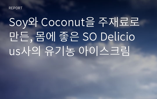 Soy와 Coconut을 주재료로 만든, 몸에 좋은 SO Delicious사의 유기농 아이스크림