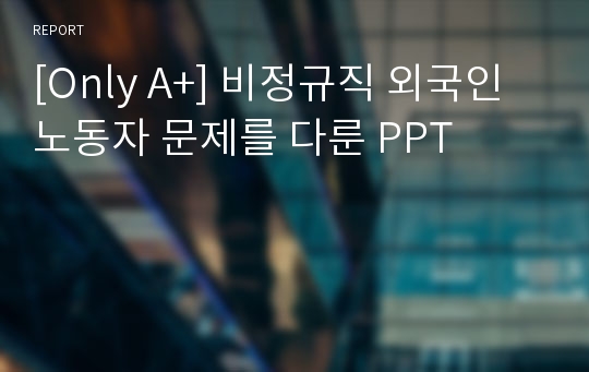 [Only A+] 비정규직 외국인 노동자 문제를 다룬 PPT