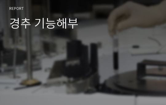 경추 기능해부