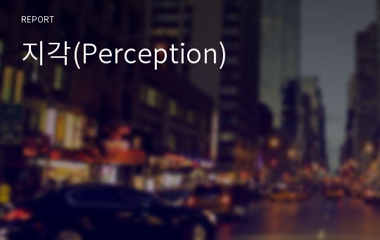 지각(Perception)