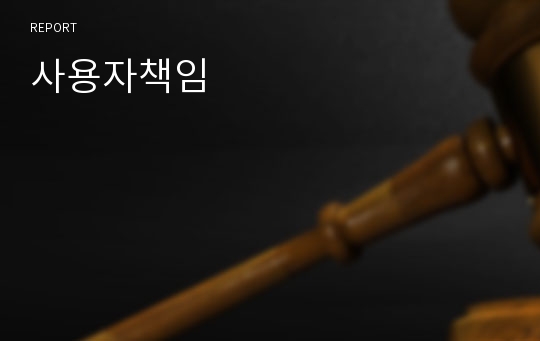 사용자책임