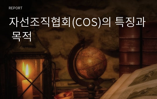 자선조직협회(COS)의 특징과 목적