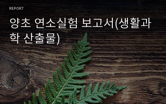 양초 연소실험 보고서(생활과학 산출물)