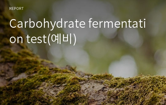 Carbohydrate fermentation test(예비)