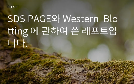 SDS PAGE와 Western  Blotting 에 관하여 쓴 레포트입니다.