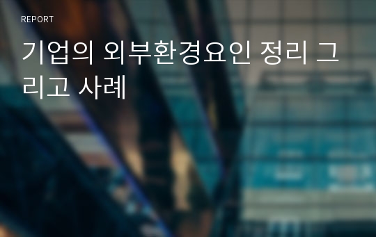 기업의 외부환경요인 정리 그리고 사례