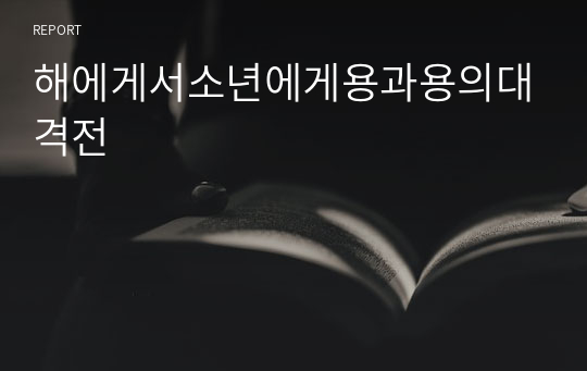 해에게서소년에게용과용의대격전