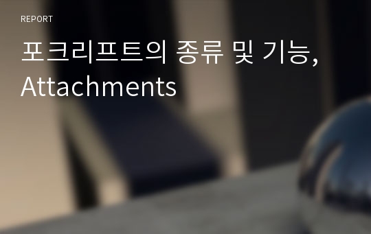 포크리프트의 종류 및 기능,  Attachments