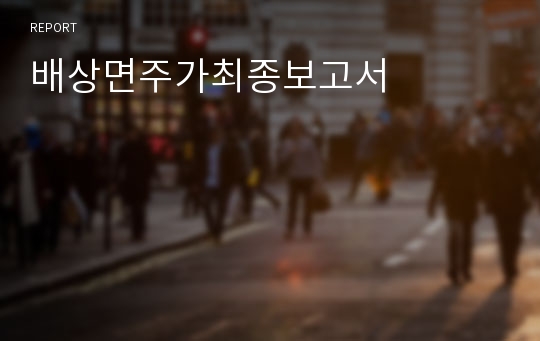 배상면주가최종보고서