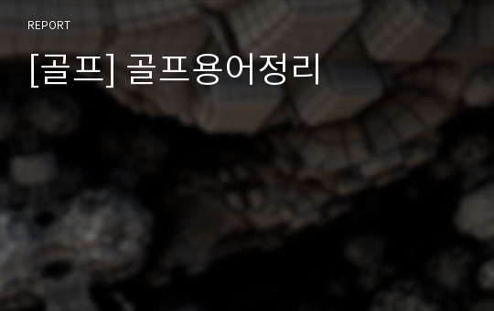 [골프] 골프용어정리