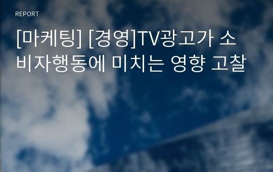 [마케팅] [경영]TV광고가 소비자행동에 미치는 영향 고찰