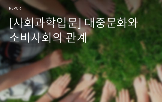 [사회과학입문] 대중문화와 소비사회의 관계