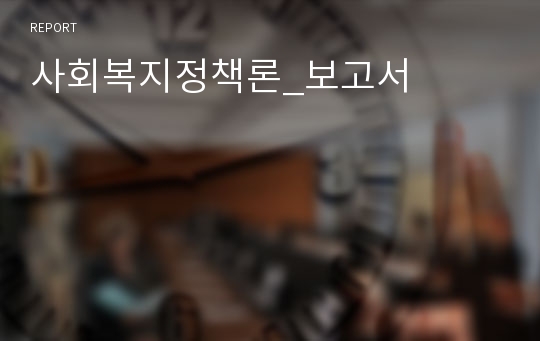 사회복지정책론_보고서