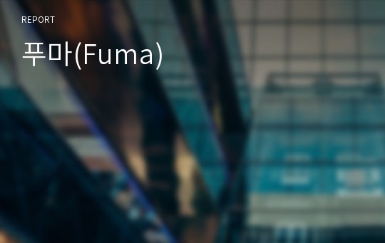 푸마(Fuma)