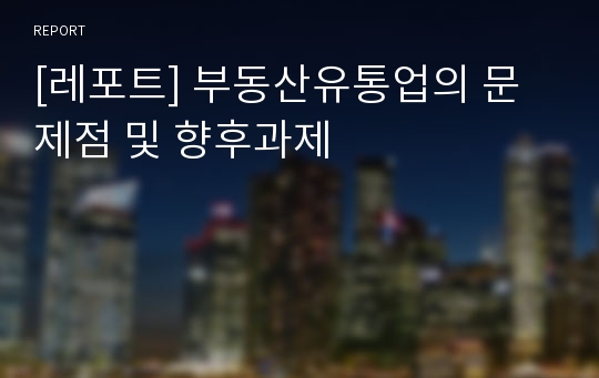 [레포트] 부동산유통업의 문제점 및 향후과제