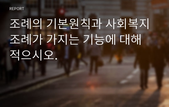 조례의 기본원칙과 사회복지조례가 가지는 기능에 대해 적으시오.